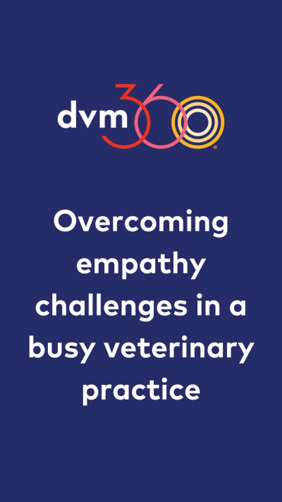 Overcoming empathy challenges in a busy veterinary practice