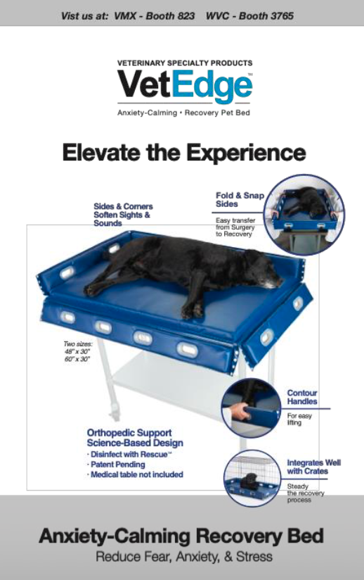 New pet bed incorporates Fear Free features | dvm360