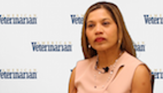 Screening for Vector-Borne Disease in Asymptomatic Dogs