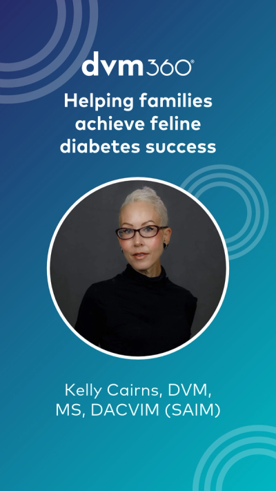 Helping families achieve feline diabetes success