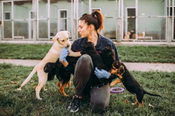 Shelter Medicine