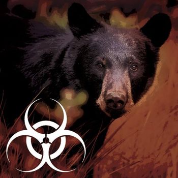 veterinary-black-bear-portrait-450px-shutterstock-580787533.jpg