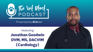 The 5 most frequently asked questions primary care veterinarians have for cardiologists