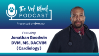 The 5 most frequently asked questions primary care veterinarians have for cardiologists
