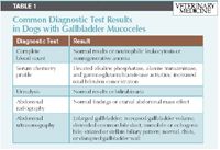 what causes dog gallbladder problems