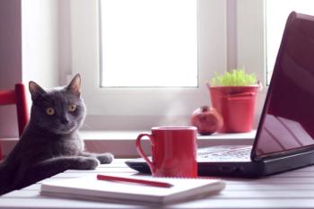 cat reading news