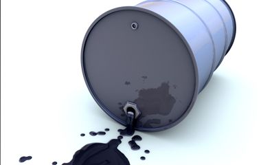veterinary_oilspill380240_flash-680073-1384225994052.jpg