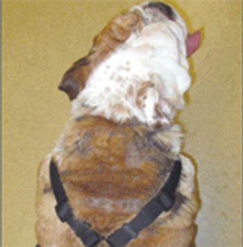 Figure3-810085-1404223648483.jpg