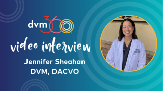 The role nutrition plays in veterinary ophthalmology