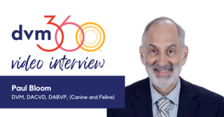 3 tips for finding the cause of pruritus in your next canine patient