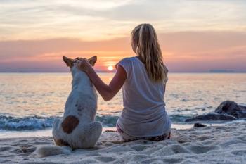Veterinary practice opens in South Tampa