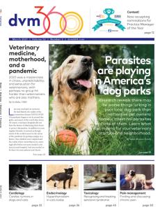 dvm360 March 2021