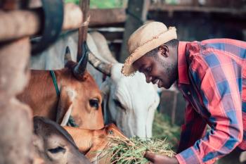 Livestock farmer