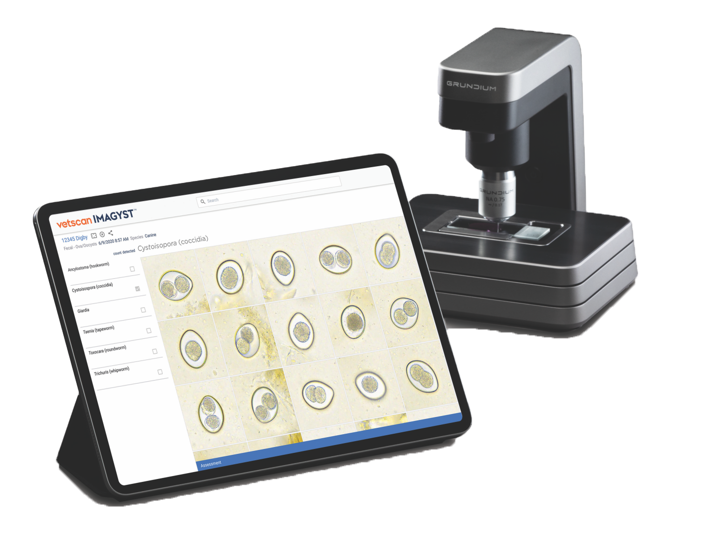 AI in patient diagnostics