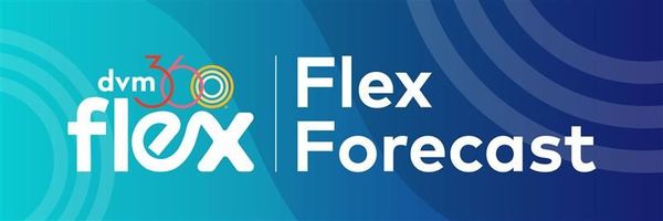 Flex Forecast: Top CE opportunities of 2025