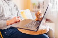 Wrap up: Protecting your DEA registration during transitions, and other news