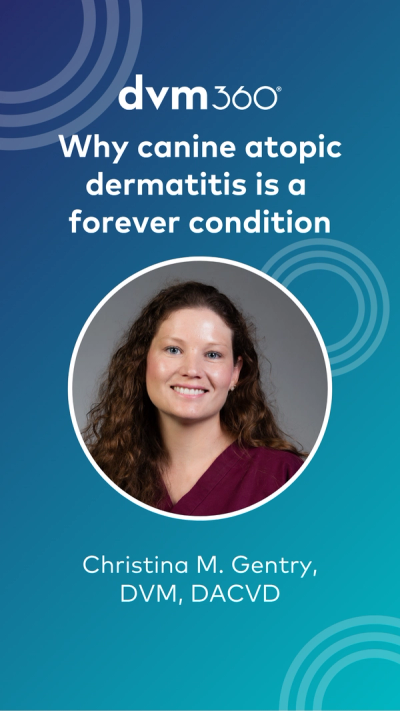 Christina Gentry, DVM, DACVD