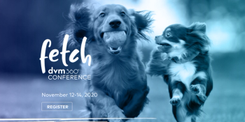 Fetch dvm360 virtual November conference