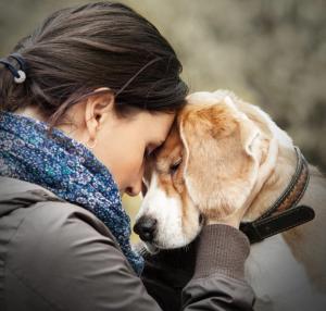 Caring for those who are caring for those