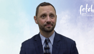 Advice for veterinarians with clients reluctant to take their pets to rehab