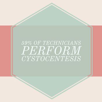 veterinary-uber-techs-cystocentesis-450.jpg