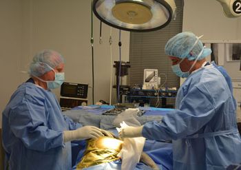 Marino_Surgery.jpg