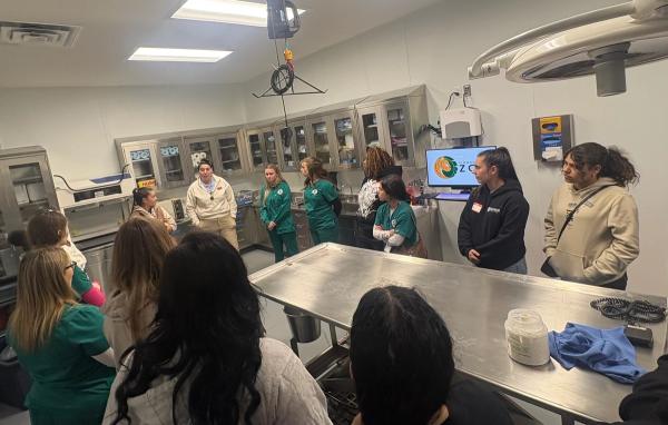Student veterinary technicians explore zoo medicine and other career options