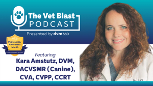 Mobility Matters: A Multimodal Approach to Keeping Pets Moving