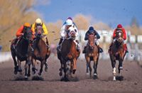 veterinary_kane_horse_race_78363321-831268-1404215577817.jpg