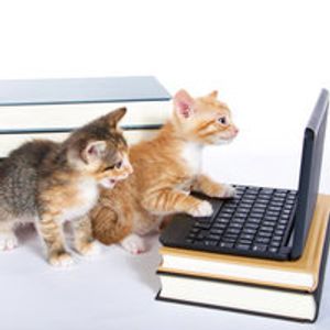 Pets, Social Media and Your Practice