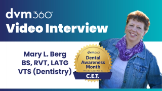 5 practical tips to improve efficiency and safety in veterinary dental procedures