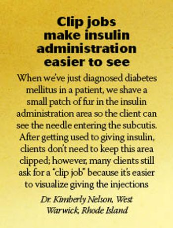 veterinary-idea-exchange-diabetes-157773428-220-3.jpg
