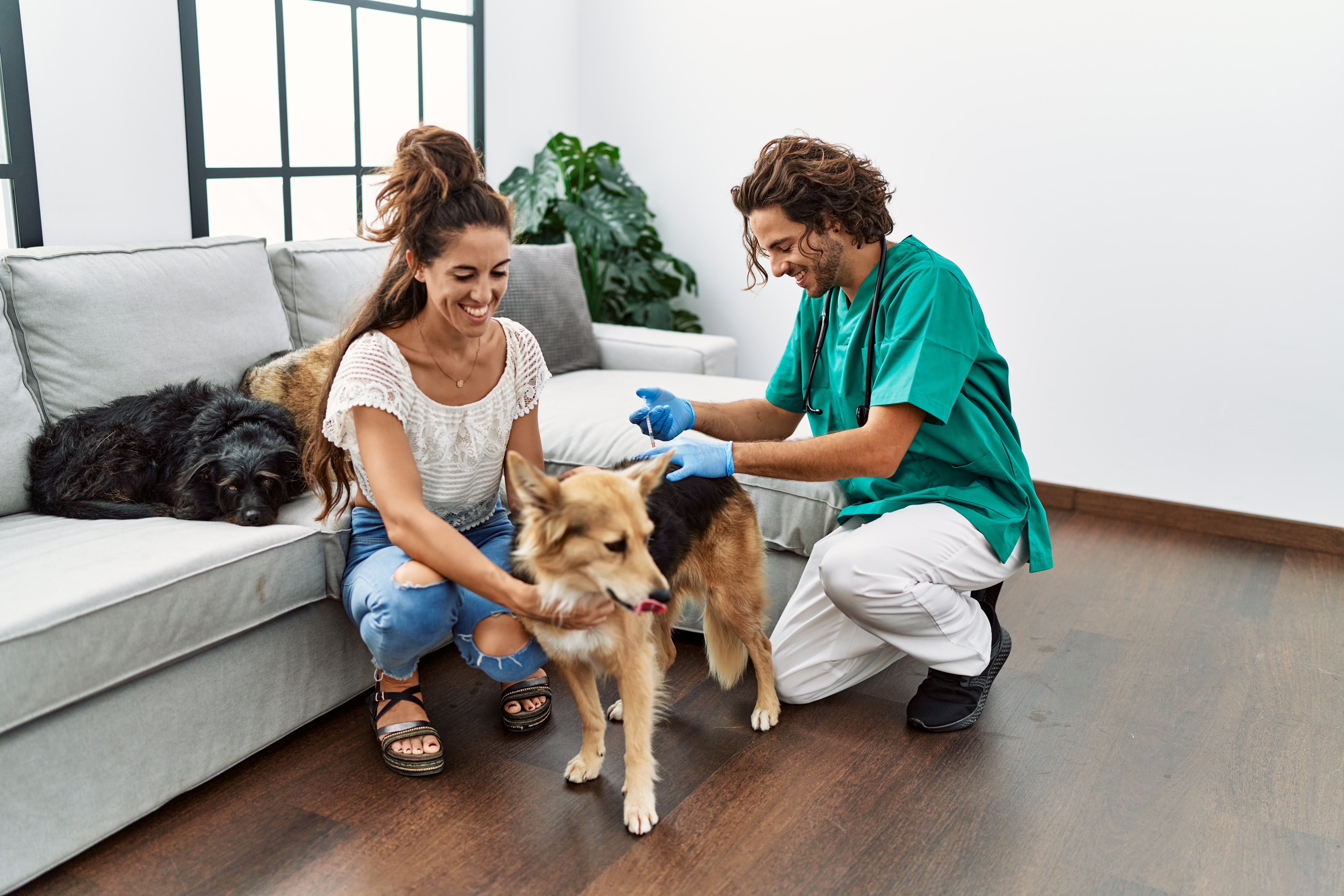 8 marketing tips for house call veterinarians
