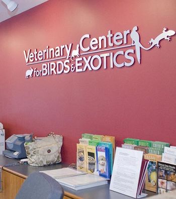 02veterinary_exotics_r11-665946-1384322891190.jpg