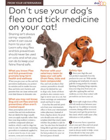 veterinary-handout-flea-and-tick-medication-250.jpg