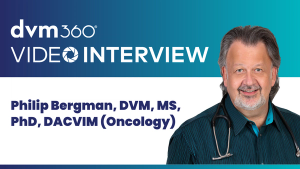 Are veterinary professionals reading veterinary cancer research wrong?