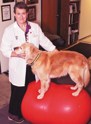 veterinary-downing-balance-1977-filter_220.jpg