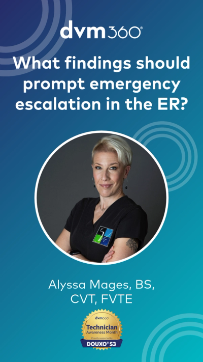 What findings should prompt emergency escalation in the ER?