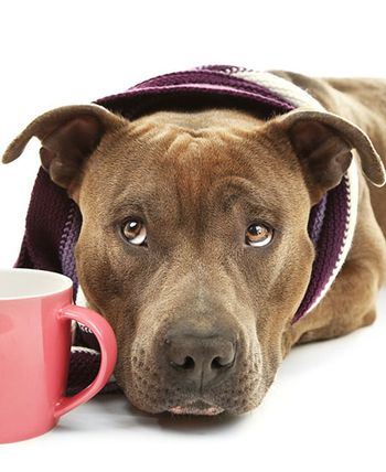 Hot topics_AdobeStock_83428306._main.jpg