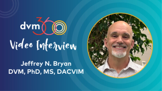 Jeffery N. Bryan, DVM, PhD, MS, DACVIM