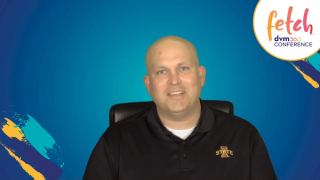 Clear the ear: treating canine otitis externa