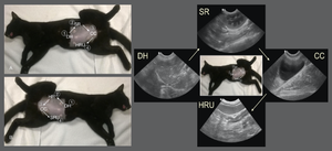 Up your imaging game: The power of AFAST