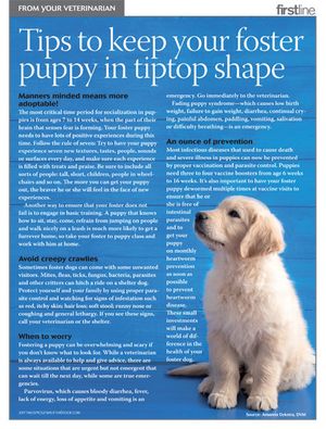 foster-puppy-handout-450.jpg
