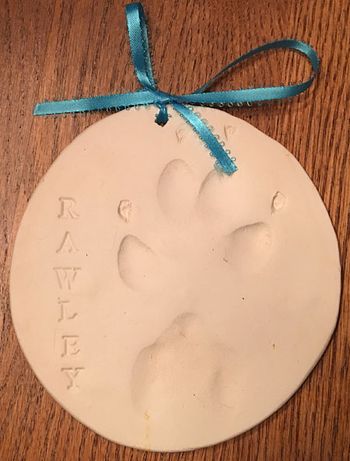 claypaws450.jpg