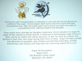 angelpin-649388-1384337399637.jpg