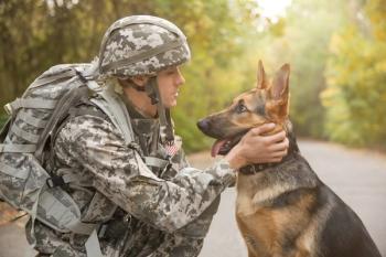 Military working dog