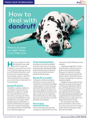 veterinary-0419-handout-dog-dandruff_450.jpg