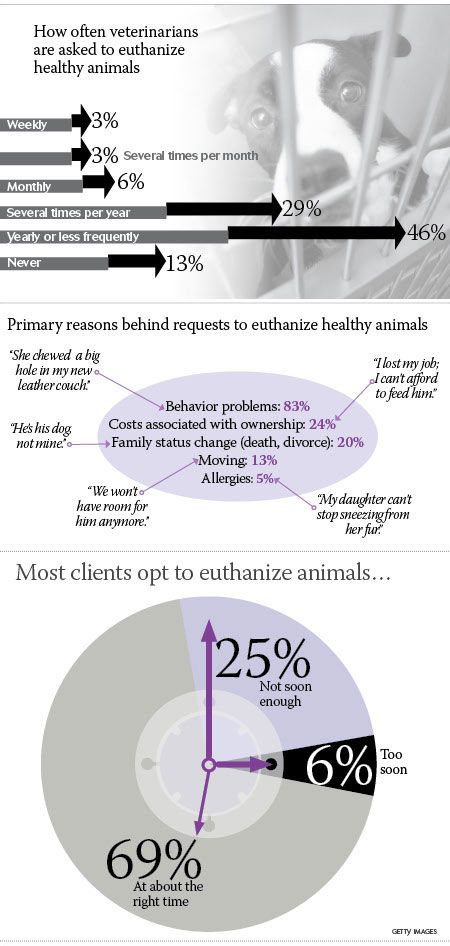 State Of The Veterinary Profession: Euthanasia In Practice