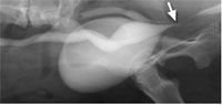 figure3-651350-1384339855445.jpg