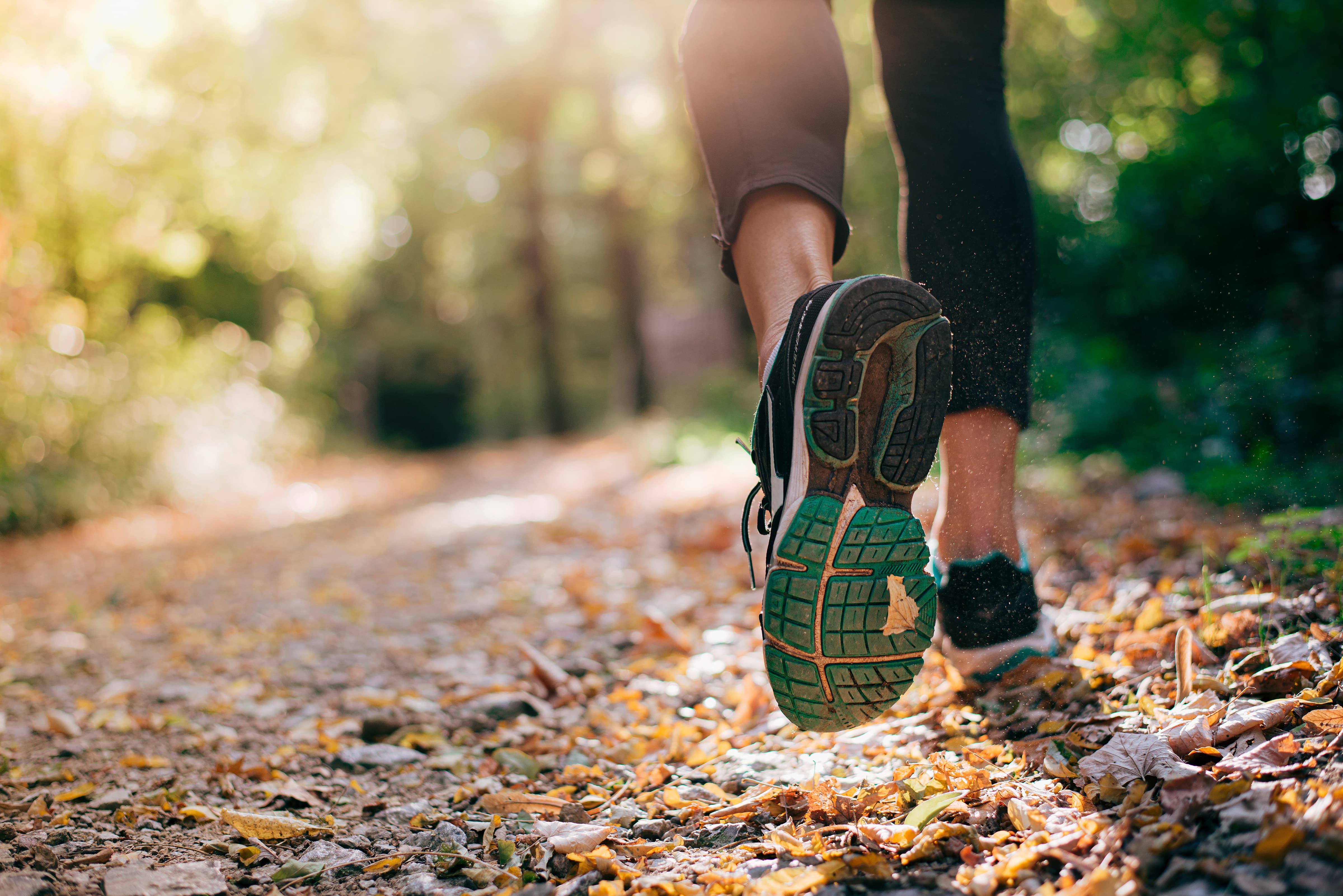 runner in forest